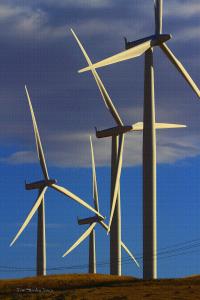 Wind Turbines Make More Than Electricity 