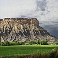 Along The Colorado River In Colorado